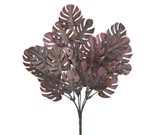 Monstera trs 35 cm - vínová