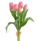 Kytice tulipánů 5 ks - růžová
