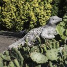 Dekorace ještěr X3226 - 52 x 25 x 17 cm