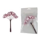 Dekorační srdíčka na drátku, 12 ks X7608-05 - 12 × 20 × 3 cm