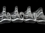 Záclonovka šíře 50 mm žabkové řasení návin 50m