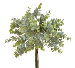 Eukalyptu svazek 8 ks - zelená