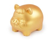 Zlaté prasátko pro štěstí / pokladnička, velké