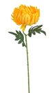 Chryzantéma 50 cm - žlutá