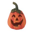 Dýně s LED osvětlením X7431 - 29.2 × 21.6 × 21.9 cm