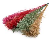 Stabilizovaný nevěstin závoj svazek