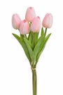 Tulipán pěnový (5 ks) - růžová/broskev