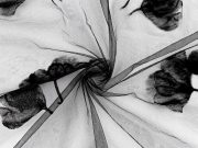 Tyl s listy ginkgo metráž