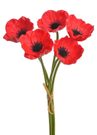 Umělý vlčí mák 5 kusů červená