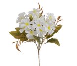 klematis / plamének - trs 5 větviček - bílá