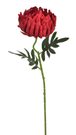 Chryzantéma 50 cm - červená