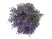 Umělé bobule / trs do květináčů a vazeb