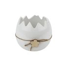 Dekorace skořápka X7747