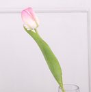 Umělý tulipán bílo-růžový X6862-06