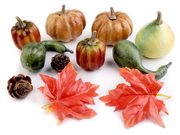 Podzimní plody k aranžování