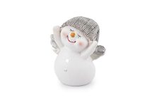 Sněhulák s křídly