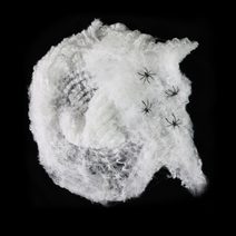 Pavoučí síť s pavouky