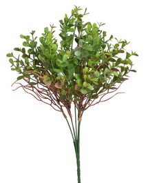eukalyptus s větvičkami trs 5 ks - zelená