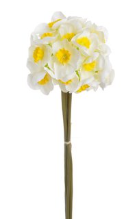 Narcis svazek 6 ks - bílá se žlutým