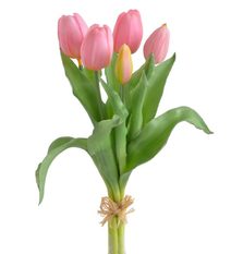 Kytice tulipánů 5 ks - růžová