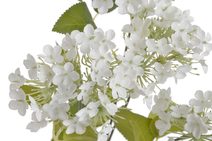 Umělý tulipán růžovozelený 371309-05 - 4 x 5 x 43 cm