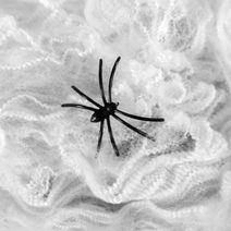 Cementový obal k osázení slon X7068/1 - 14 x 9 x 10.5 cm