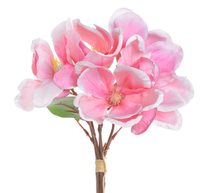 Kytice magnolií - růžová výraznější