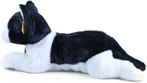 Kočka ležící černobílá exkluzivní kolekce