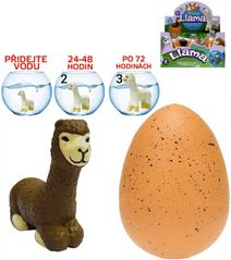 Lama Alpaka zvířátko líhnoucí se a rostoucí překvapení ve vajíčku