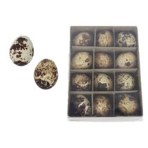 Dekorační velikonoční vajíčka, 12 ks X7940 - 12.5×9.5×3