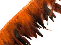 Prýmek - kohoutí peří šíře 15 - 19 cm METRÁŽ