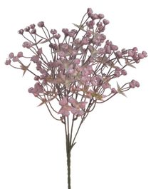Gypsophila trs - růžová - 33 cm