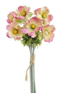 Umělá kytice sasanek 6 ks - krémová s růžovými okraji