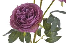 Jiřina s listy 71 cm - starorůžová