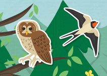 JIRI MODELS Moje omalovánky na cesty Peppa Pig s pastelkami a samolepkami