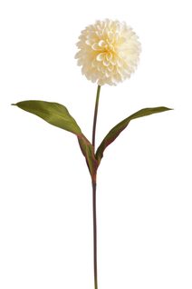 Jiřina s listy 71 cm - krémová