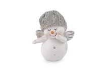 Sněhulák s křídly