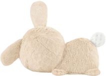 FISHER PRICE PLYŠ Baby králíček usínáček pro miminko na baterie