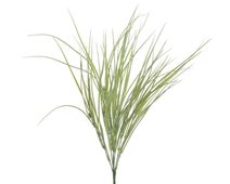 Tráva dracéna 54 cm - sv. zelená