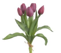 Svazek tulipánů 5 ks - tmavě růžová