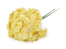 Umělá kytice achillea