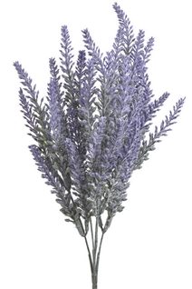 Levandule trs - modrofialová