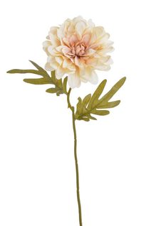 Květ jiřiny 38 cm - béžová/krém