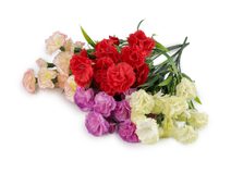 Umělá kytice karafiát mini