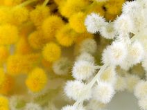 Umělá pivoňka kytice