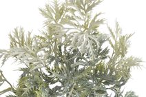 Umělé listy eryngium - zelená/bílá