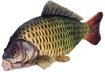 Plyšový kapr 52 cm – originální plyšák pro děti i rybáře