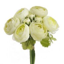 Ranunculus svazek - zelená světlá