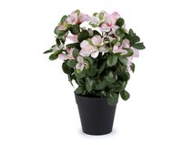 Umělá azalka v květináči