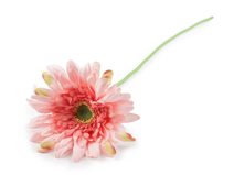 Umělá gerbera dlouhá